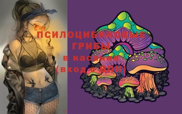 а пвп мука Армянск