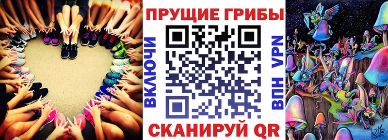 наркошоп  Калининск  Галлюциногенные грибы MAGIC MUSHROOMS 